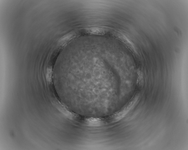 X0000111670189200907311206