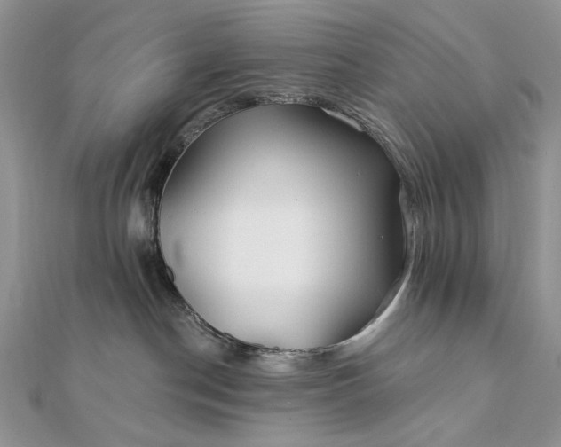 X0000111670190200907311206