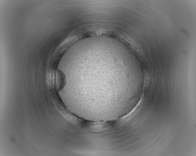 X0000111670191200907311206