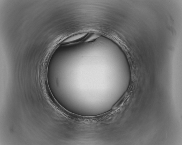 X0000111670193200907311205