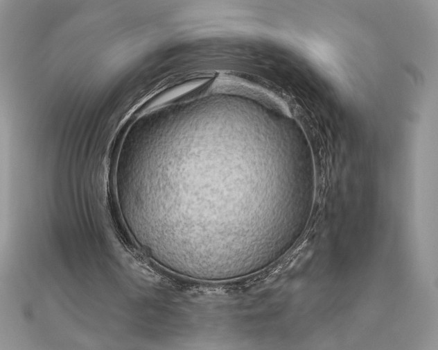 X0000111670194200907311205