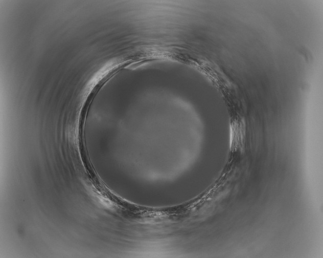 X0000111670195200907311205