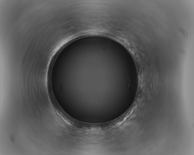 X0000111670196200907311205