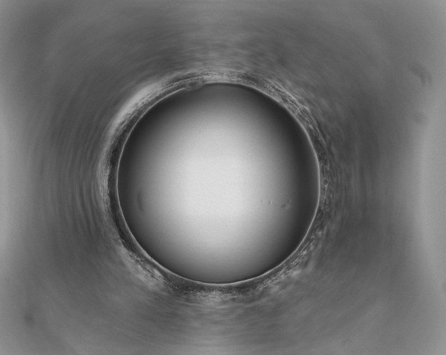 X0000111670197200907311205