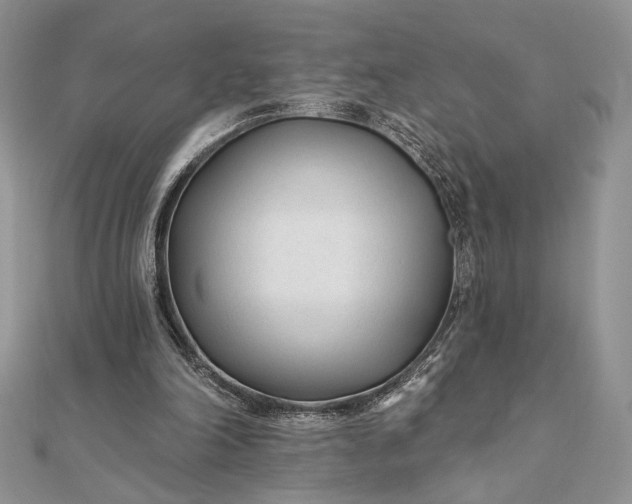 X0000111670198200907311205