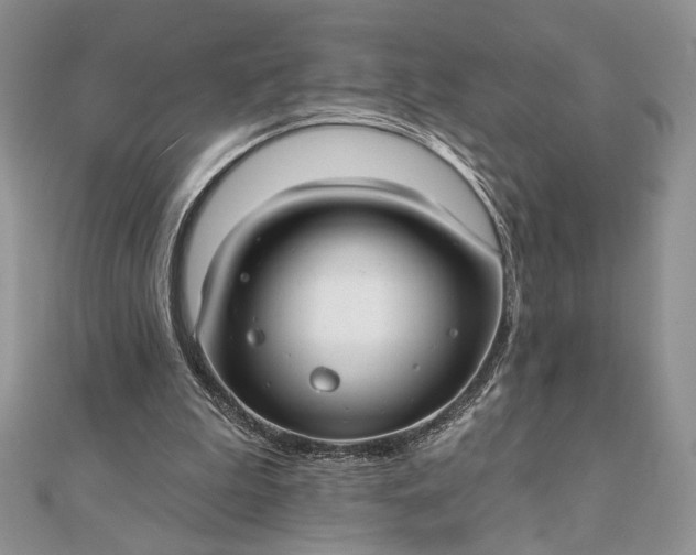 X0000111670199200907311205