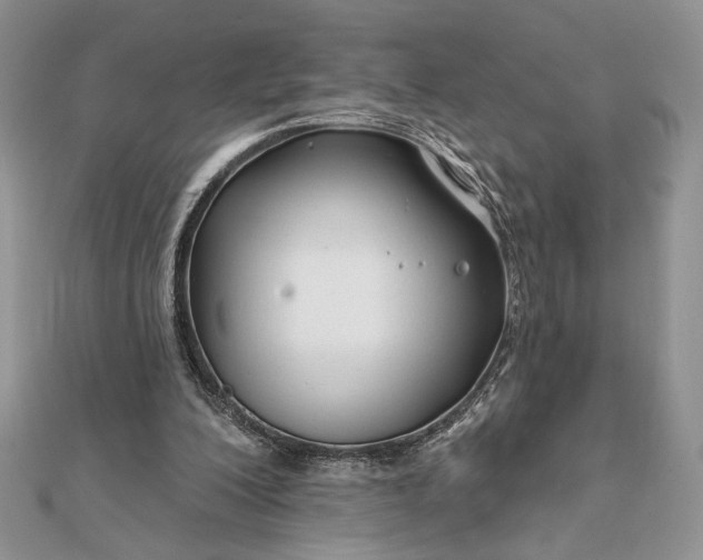 X0000111670200200907311205