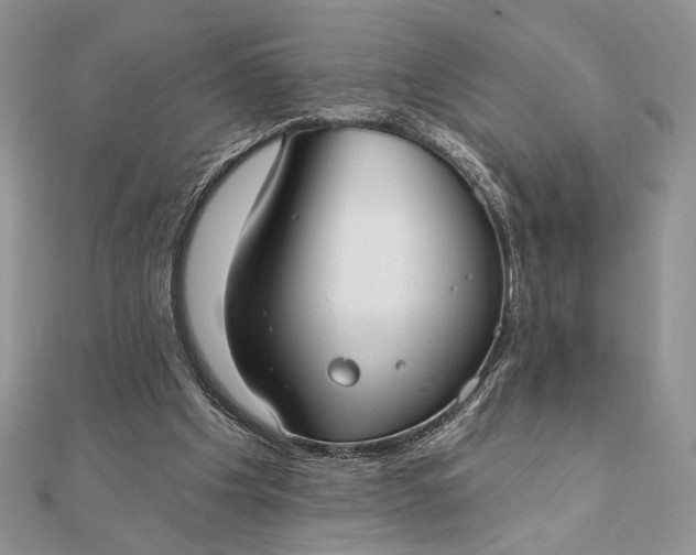 X0000111670201200907311205