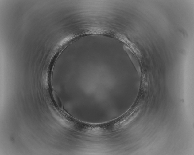 X0000111670203200907311205