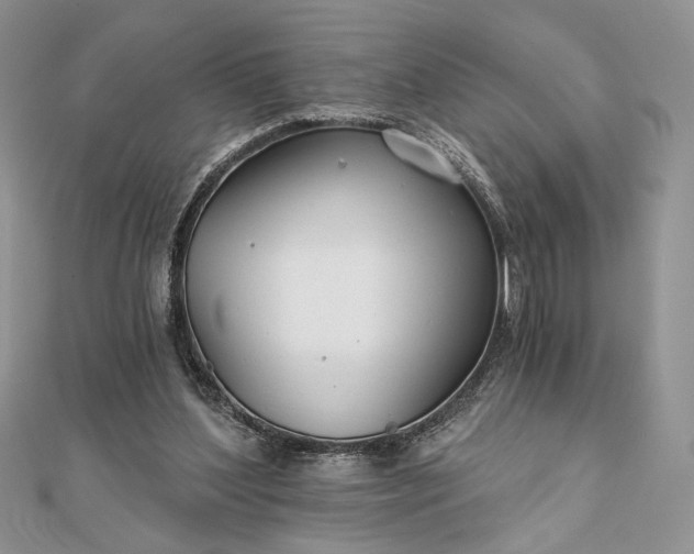 X0000111670204200907311205