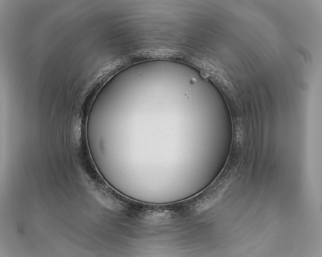 X0000111670206200907311205