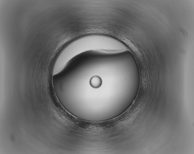 X0000111670207200907311205