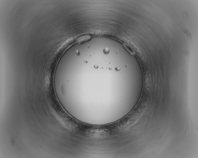 X0000111670208200907311205