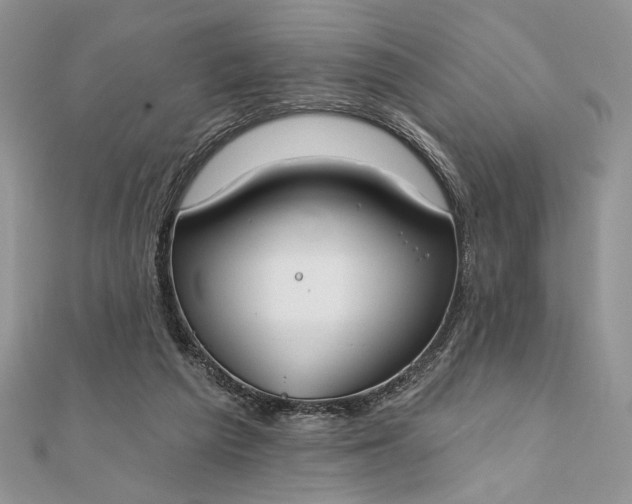 X0000111670209200907311205