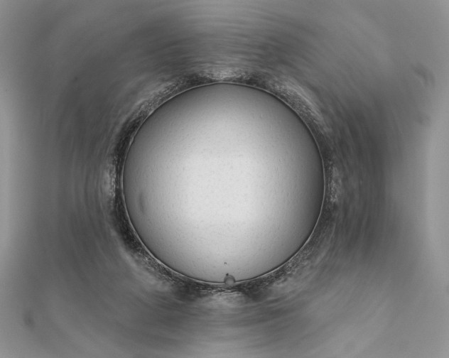 X0000111670210200907311205