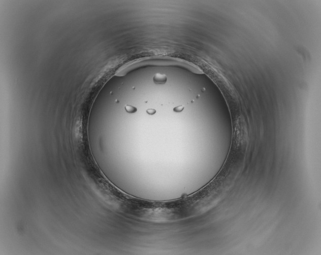 X0000111670212200907311205