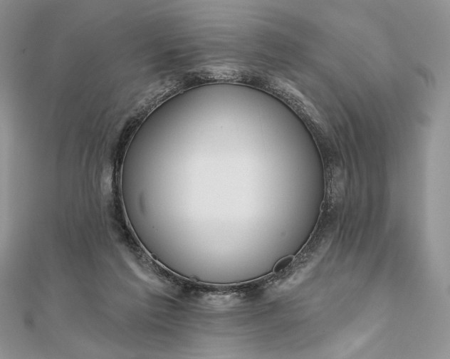 X0000111670213200907311205