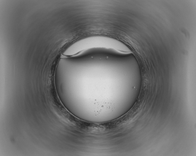 X0000111670215200907311205