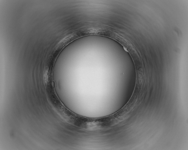 X0000111670216200907311205