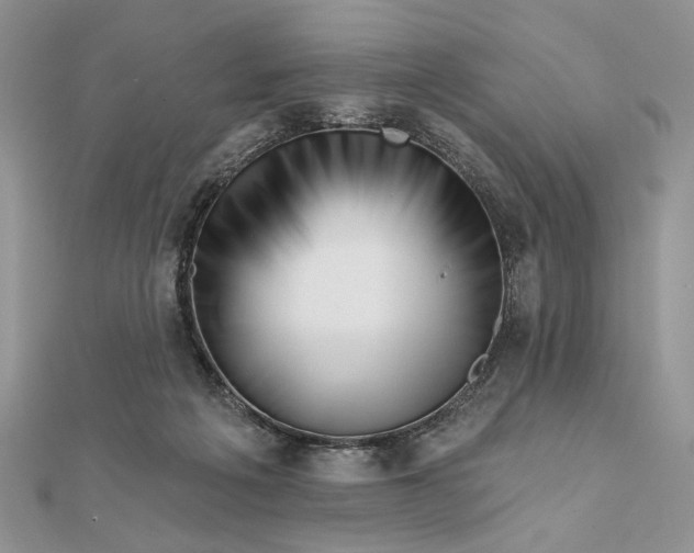 X0000111670217200907311205