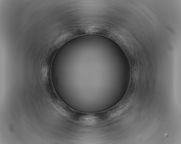 X0000111670219200907311205