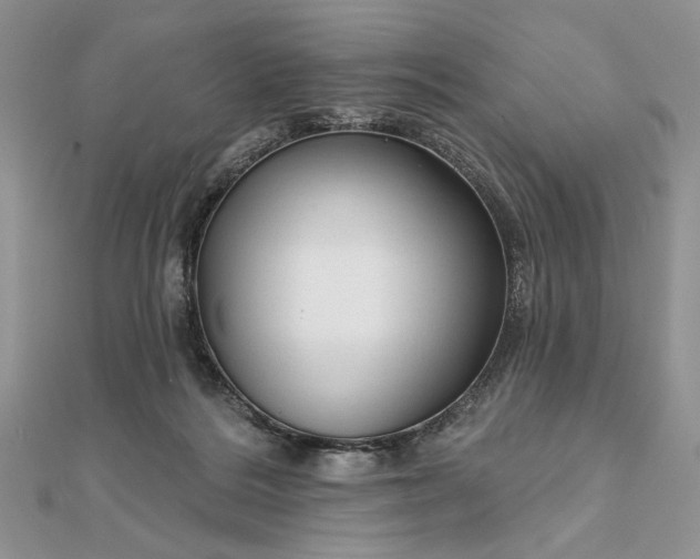 X0000111670220200907311205