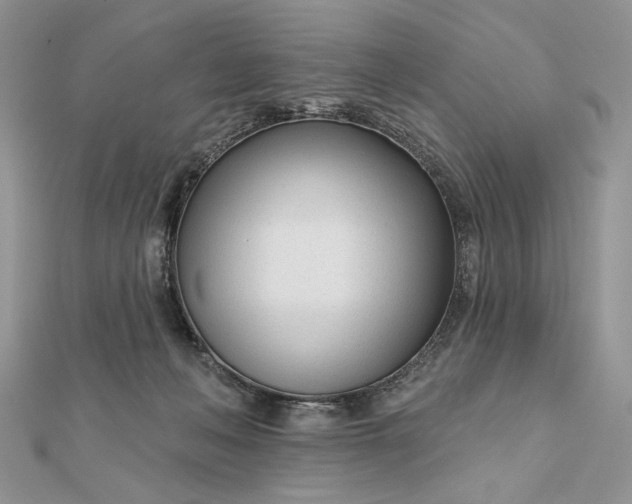 X0000111670222200907311205