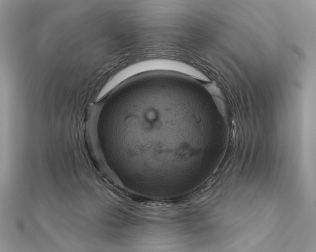 X0000111670223200907311205