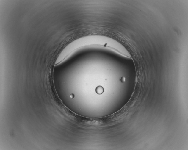 X0000111670225200907311205