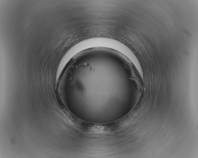 X0000111670227200907311205