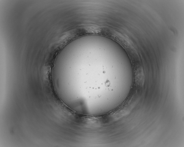 X0000111670229200907311205