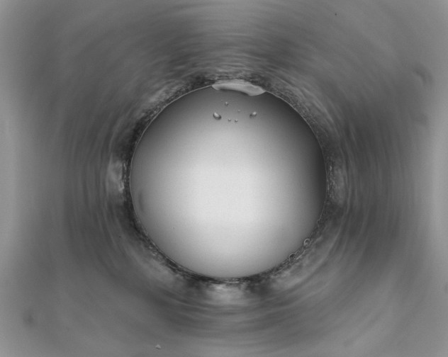 X0000111670232200907311205