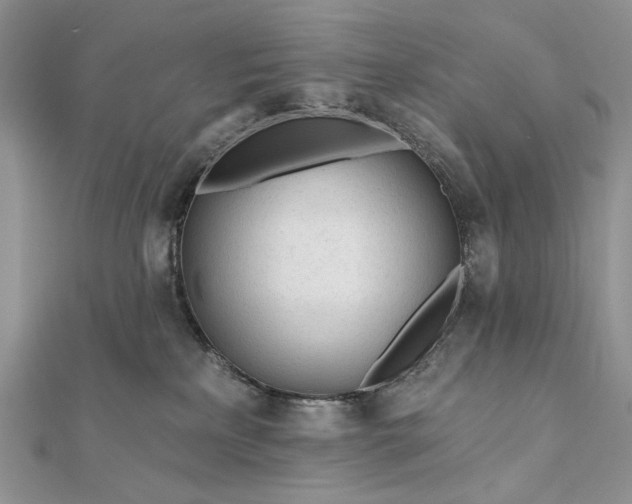 X0000111670233200907311205