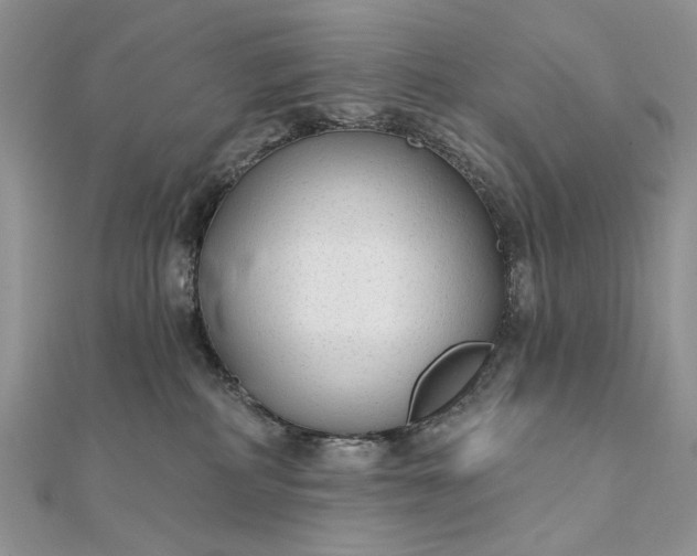 X0000111670234200907311205