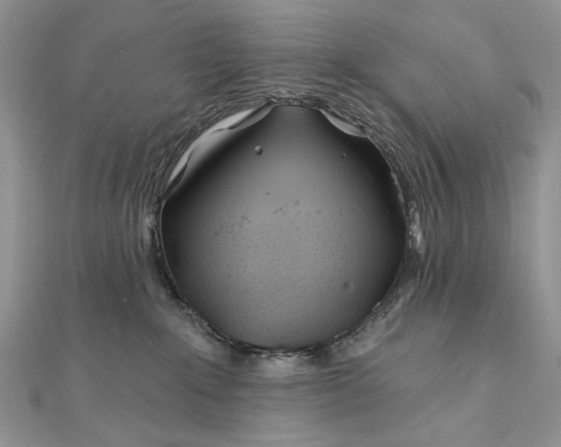 X0000111670235200907311205