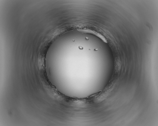 X0000111670236200907311205