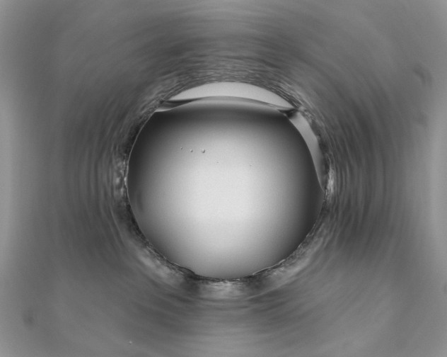 X0000111670237200907311205