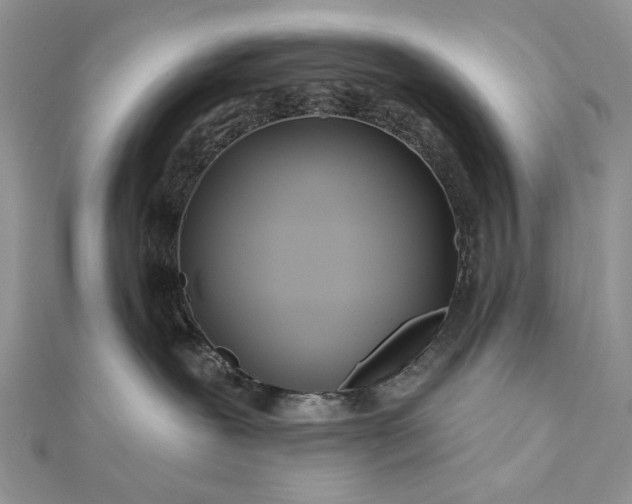 X0000111670239200907311205