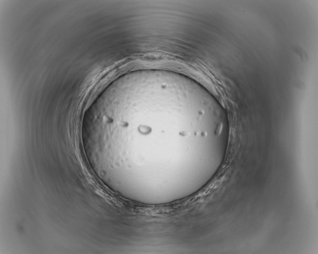 X0000111670241200907311204