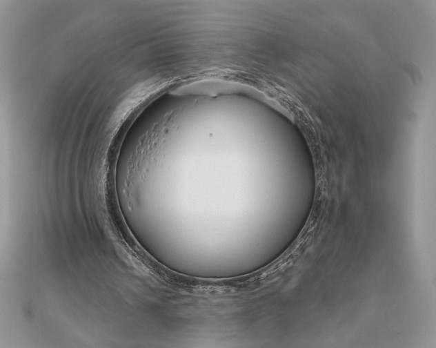 X0000111670242200907311204