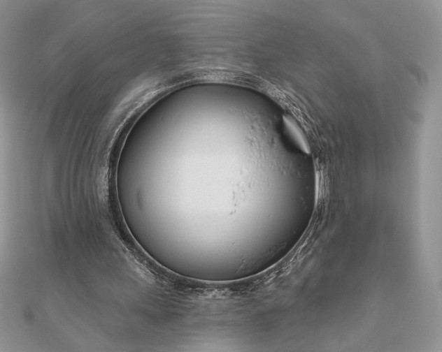 X0000111670243200907311204