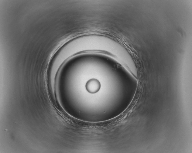 X0000111670244200907311204