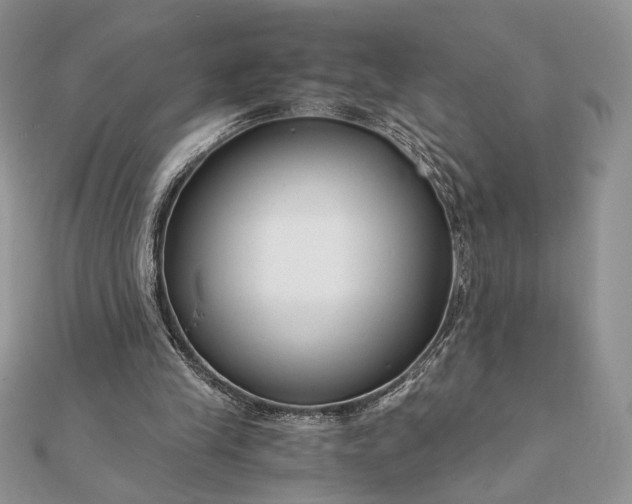 X0000111670245200907311204