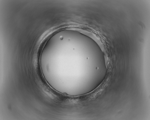 X0000111670247200907311204