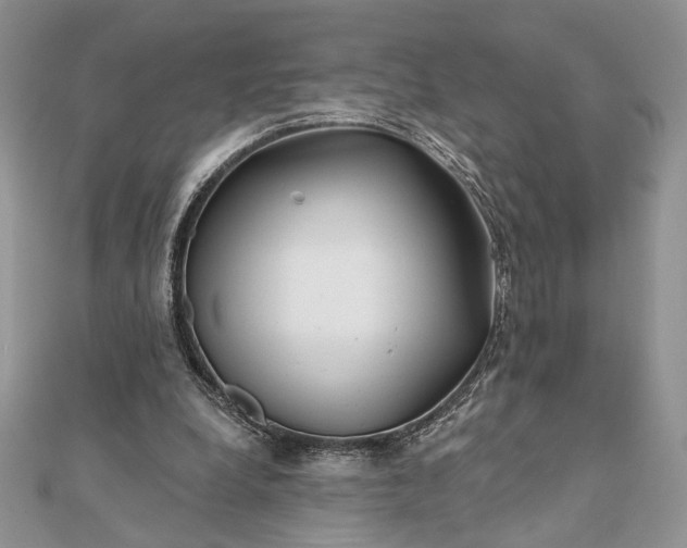 X0000111670248200907311204