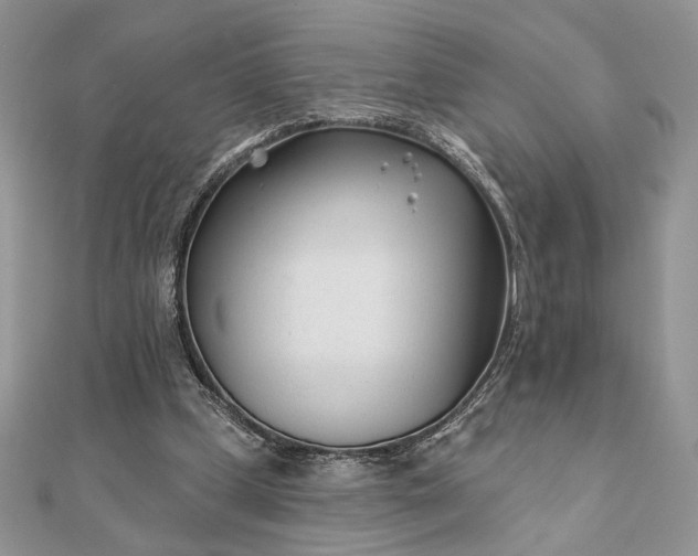 X0000111670249200907311204