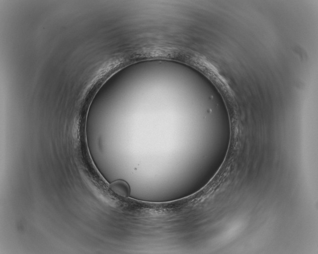 X0000111670250200907311204