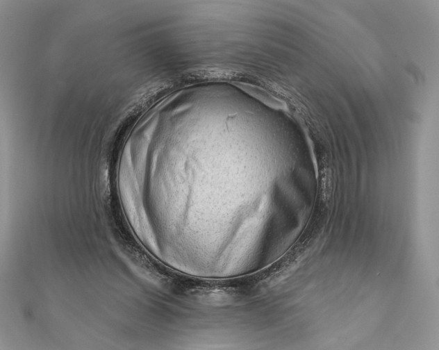 X0000111670254200907311204