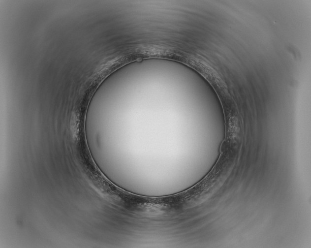 X0000111670255200907311204