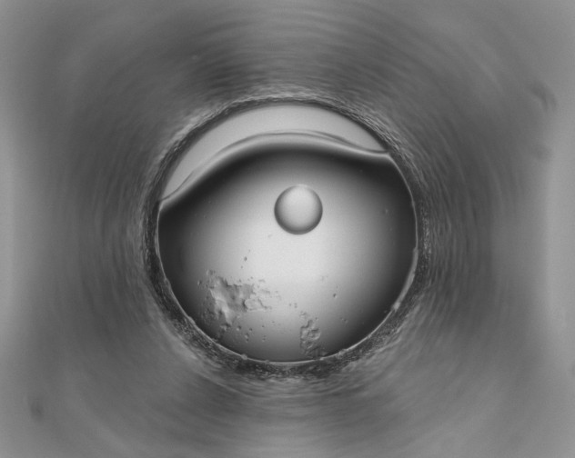 X0000111670256200907311204